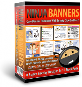 Ninja-Banners-Developer-Box-300x319