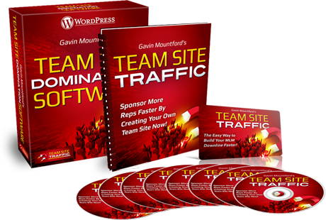 Team Site Traffic