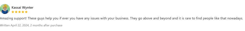 Five-star review praising amazing support and above-and-beyond business help